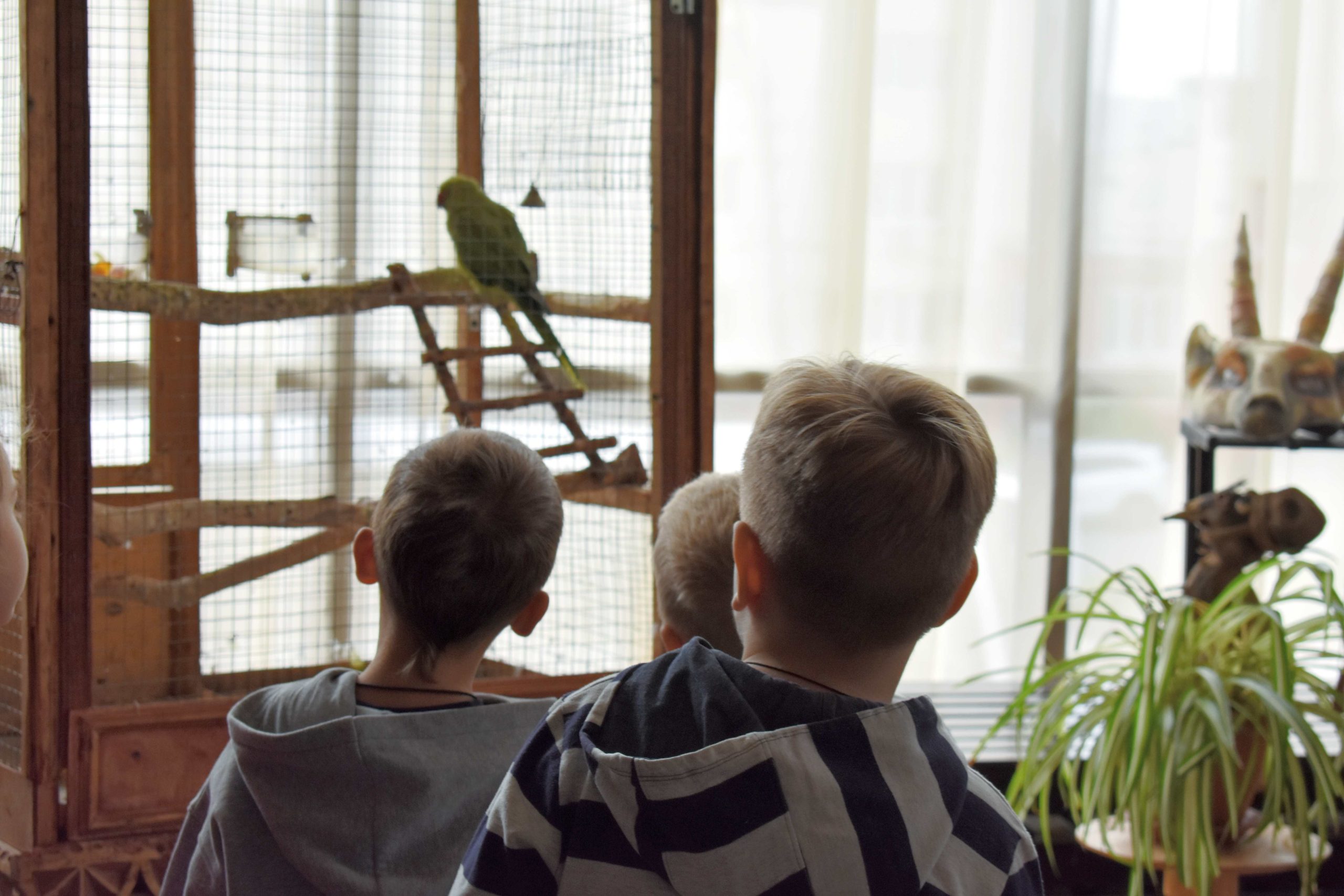 Как прошли ваши выходные?