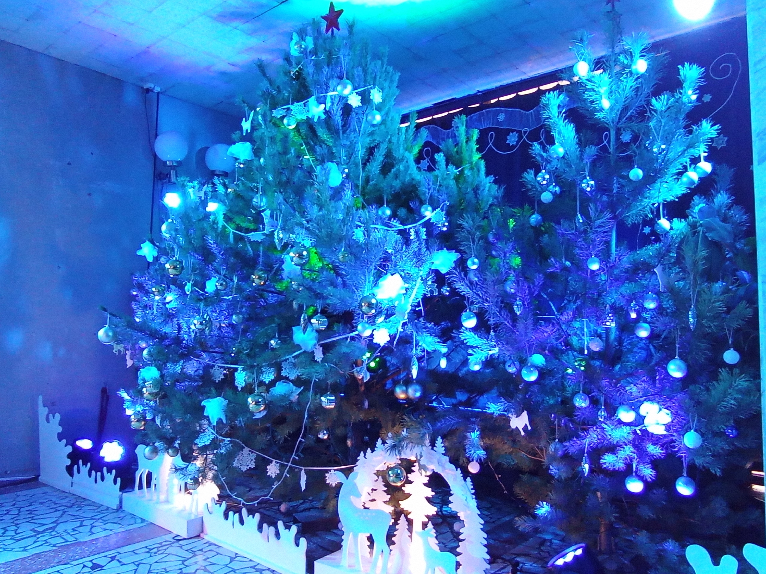 Что за волшебство!