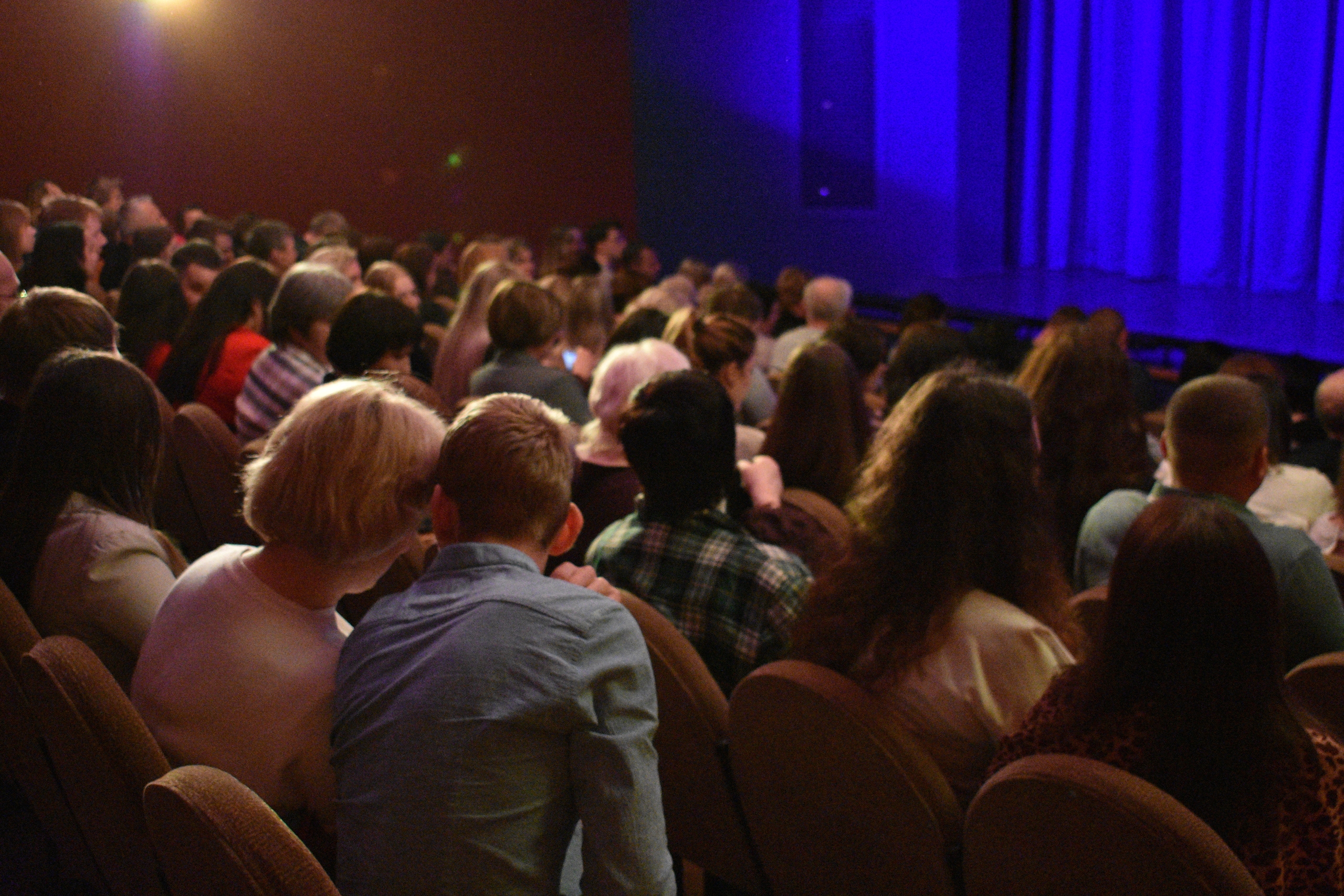 Гости большого зала и поместья Елены Ивановны Поповой